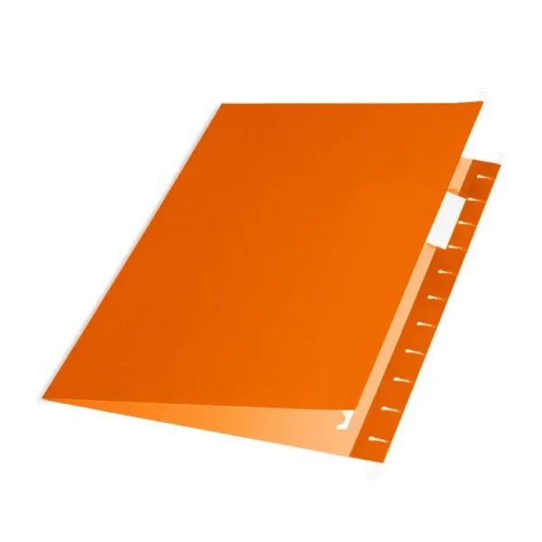 CARPETA COLGANTE NEPACO NARANJA
