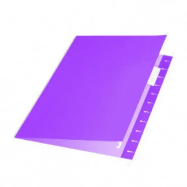 CARPETA COLGANTE NEPACO VIOLETA