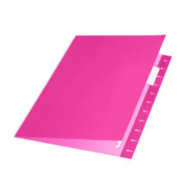CARPETA COLGANTE NEPACO ROSA