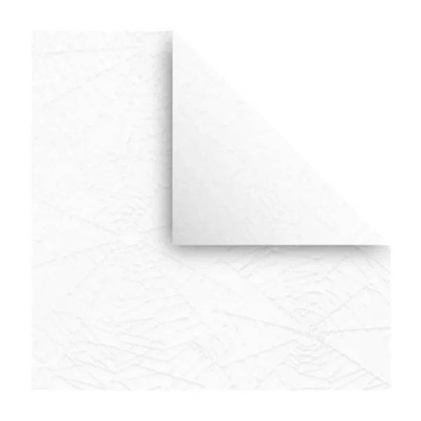 PLIEGO PAPEL ARANA BLANCO