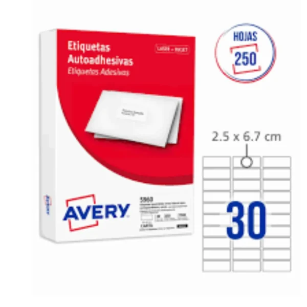 ETIQUETAS AVERY 5960 2.5X6.7 250H