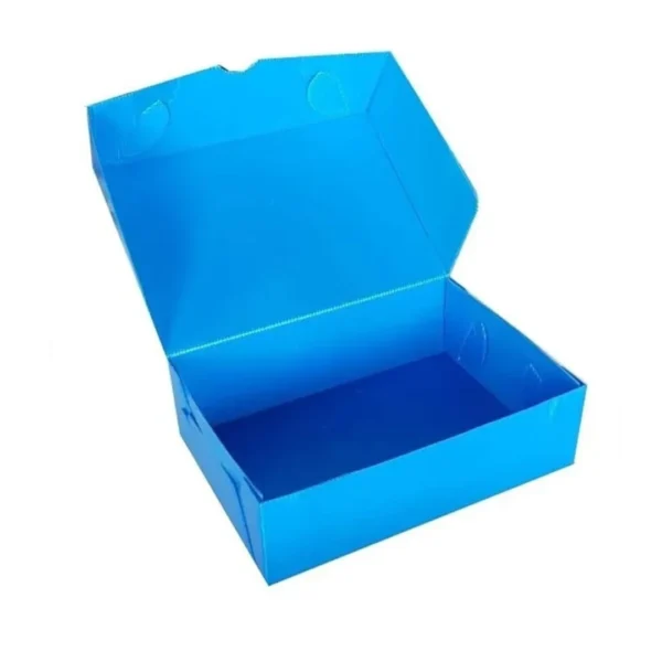 CAJA ARCHIVO PLASTICA MDO OF.12 AZUL