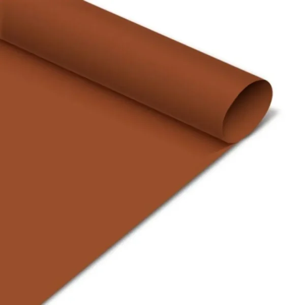 CARTULINA ESCOLAR MARRON