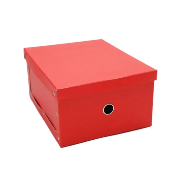 CAJA LES CAHIERS 31X25X15 C/REM.